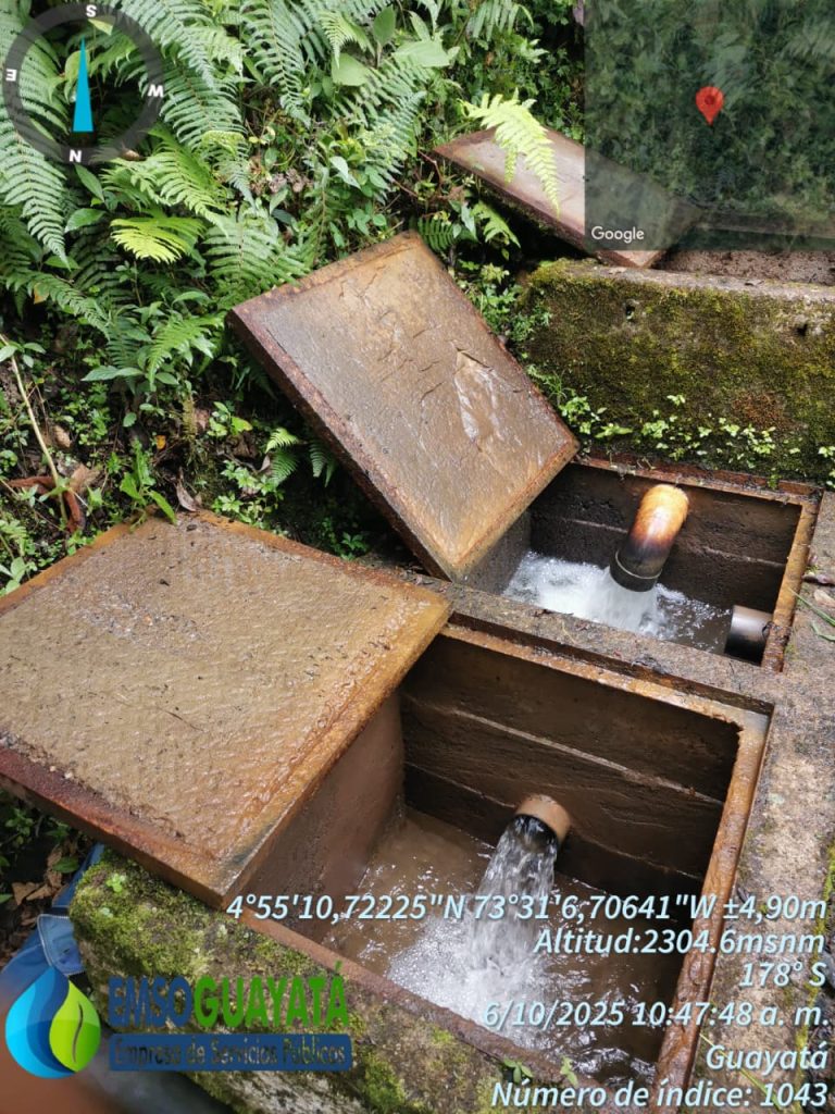 WhatsApp Image 2025-12-12 at 3.37.14 PM