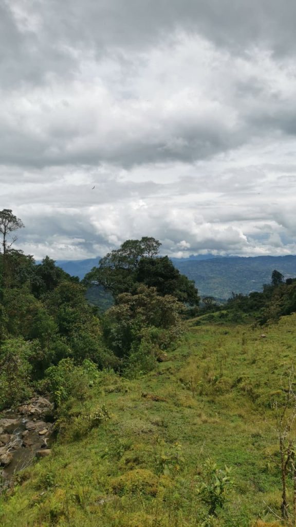 WhatsApp Image 2025-12-12 at 3.37.18 PM (1)