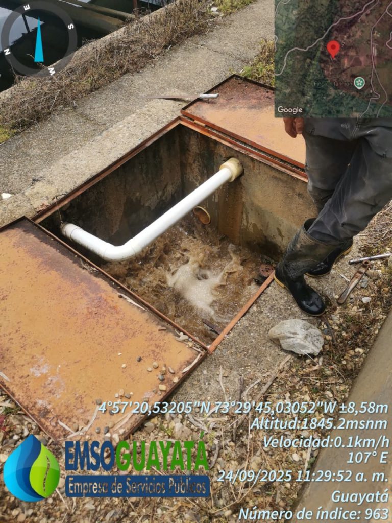 WhatsApp Image 2025-12-12 at 3.37.20 PM