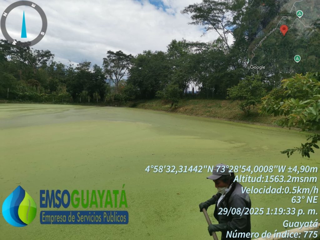 WhatsApp Image 2025-12-12 at 3.37.21 PM