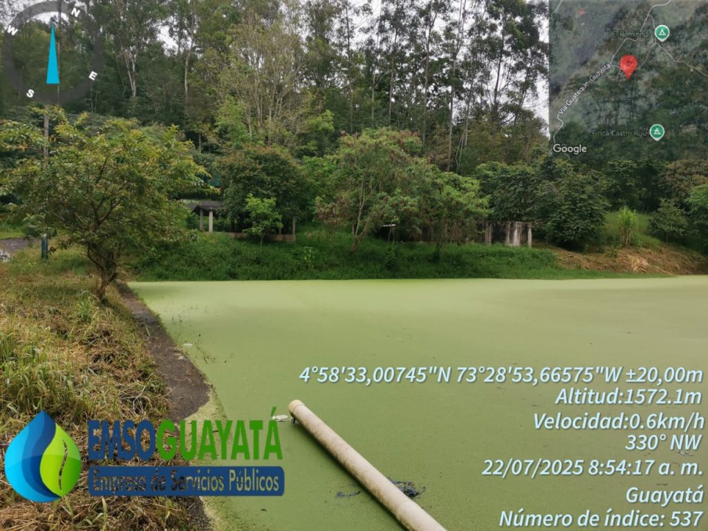 WhatsApp Image 2025-12-12 at 3.37.22 PM (1)