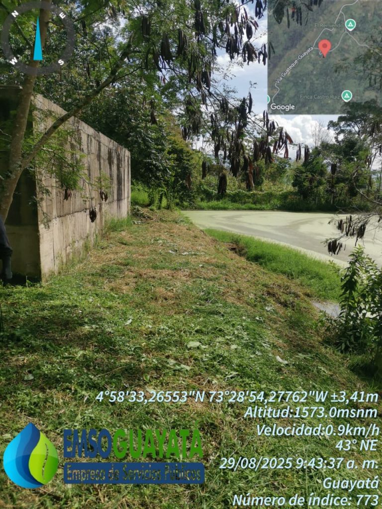 WhatsApp Image 2025-12-12 at 3.37.22 PM