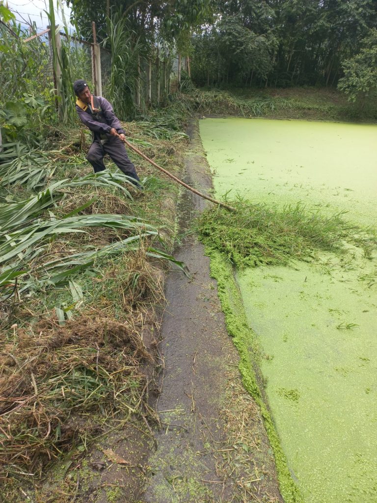 WhatsApp Image 2025-12-12 at 3.37.23 PM (1)