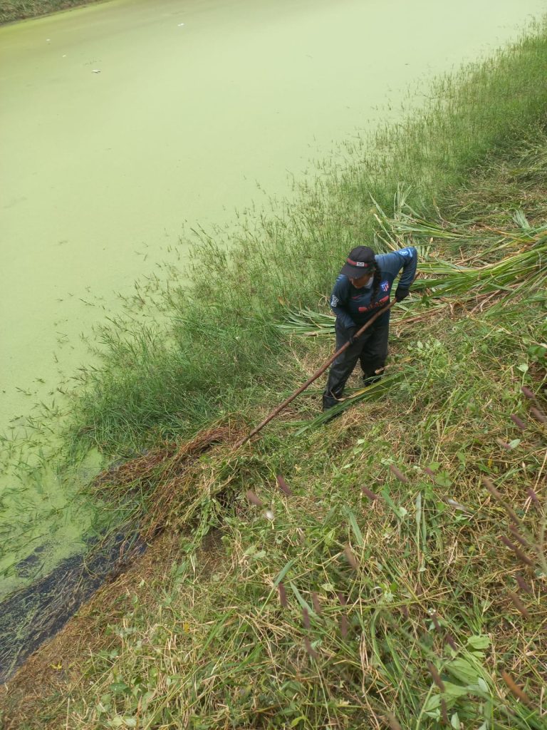 WhatsApp Image 2025-12-12 at 3.37.23 PM